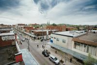 Stylish and bright 2bdr near St-Hubert Plaza - B&B Montréal