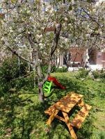 Apartman Ladini Lana - B&B Cittavecchia