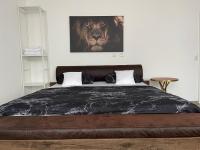 5 Bedroom Apartment in Kassel City Center Perfect for groups and families - Chambres d’hôtes Cassel