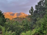 Owen Cottage Queenstown Genuine Comfort and Views - B&B Queenstown