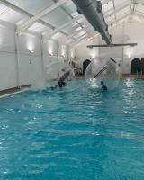 Hotdog House Filey Detached Pet Friendly Eco-House - B&B Hunmanby