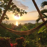 The Jungle - B&B Mérida