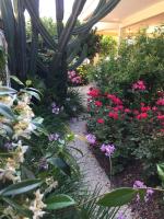 Home Garden - B&B