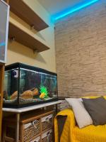 Appartamento in centro sul corso principale "Nazario Sauro" di Giulianova lido ,a 200 m dal mare - B&B