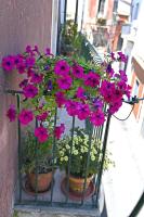 La Ciriciccia - B&B Acireale