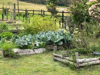 Super Cabaña Sabana de Faca NUEVA - B&B Facatativá