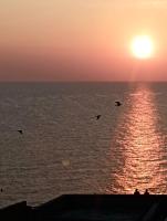 Doppel-/Zweibettzimmer mit privatem, externem Bad