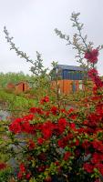 Pigwowcowe Zacisze - B&B