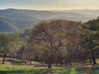 El Pico de Aroche - B&B Aroche