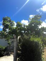 Appartamenti Zaiana - B&B Peschici