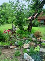 Chata Spokoju pod Gwiazdami - B&B Olchówka