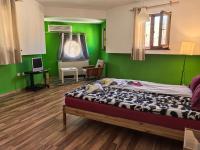 King Studio with Sofa Bed