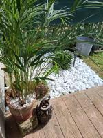 Clos des lys - B&B Vittel