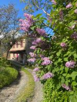 La Lupa e l'Orso - Ferienwohnung