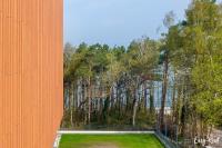 PINEA apartament studio - Ferienwohnung Pobierowo