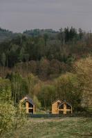 Brzozowa Osada - Chambres d’hôtes Zagórze Śląskie