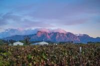 Cottage 5 - Leo Sky Farm - B&B Simondium