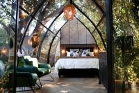De Nest - Clear Glass Tree Cabin - B&B Montagu
