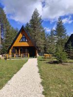 Pine forest-White - Ferienwohnung