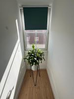Modern Apartment 46m2 AC 100m from Stary Rynek City Center Kramarska 21 - B&B