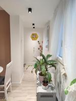 KS Studio 2 - B&B Belgrade