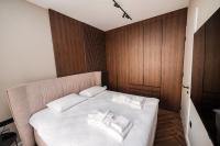 Deluxe Apartment with City View
