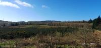 Edenmill Farm Rooms - B&B