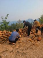 Mountain Views Homestay - Bed and Breakfast Kon Rung