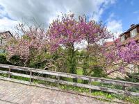 Le Pavillon des Remparts - Commerces à proximité - Centre-ville - Appartement Cosy - B&B Obernai