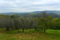 Casa Zeno - B&B Volterra