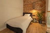 Deluxe One-Bedroom Apartment