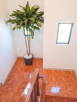 Casa Apapacho - B&B El Capulín