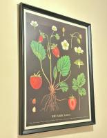 NapCastle Caledonian Park - B&B London