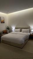 استديو فندقي واسع بالورود - B&B Al Kharj