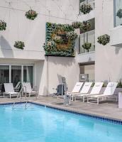 Modern Hollywood Walk of Fame Apts- Free Parking, 360 Rooftop, Pool, Gym- Centrally located - B&B