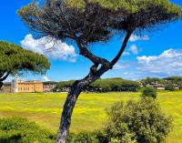 FELYX APARTMENT - Bright, Spacious, and 100 mt from the waves - Lavinio Mare - Chambres d'hôtes Anzio