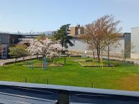 Chambre Triple avec Terrasse