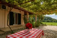 Green Yard Family Holiday Home Sidari Corfu - Bed and Breakfast