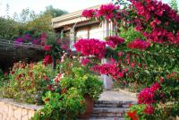 Villa Niki - Ferienwohnung Platariá