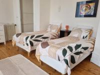 GRANDE chambre à SAINT-ETIENNE CENTRE chez l'habitant - B&B Saint-Étienne