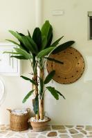 Vammos Luxury Residences - Ferienwohnung Náousa