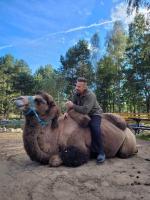 Domek w Zwierzęcym Azylu - Ferienwohnung Wyszewo