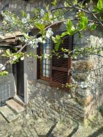 Autenticum Agriturismo Tolfa - B&B