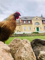 Bauernhofvilla nur für Frauen Woman only - Ferienwohnung Niemegk