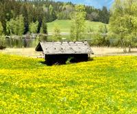Alpine Haven, Kitzbühel ALPS - Ferienwohnung St. Johann in Tirol