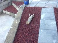 Voyageur du volcan - Ferienwohnung Le Tampon