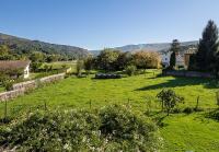 Apartment mit Gartenblick