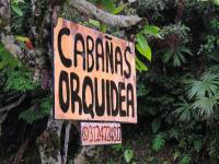Cabañas orquídea - B&B