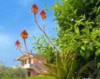 CASA BERARDI Apartment - Steps from the Beach and Train Station, Perfect for Sunsets - Ferienwohnung
