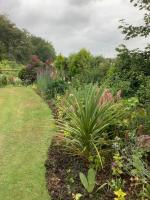 Tatson Farmhouse B&B - B&B Bridgerule